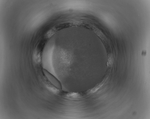 X0000091100431200708201525