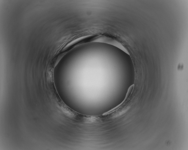 X0000091100432200708201525