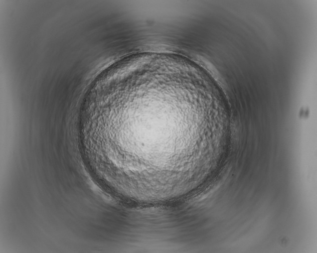 X0000091100433200708201524