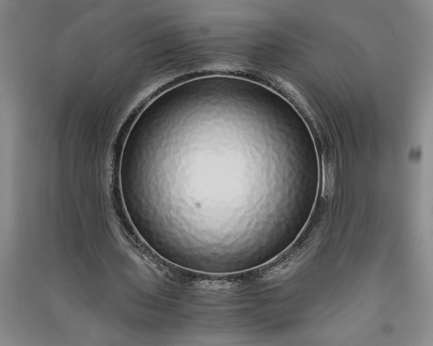 X0000091100435200708201524