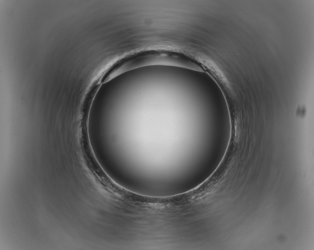 X0000091100436200708201524