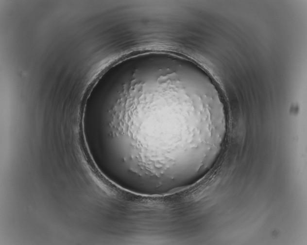 X0000091100437200708201524