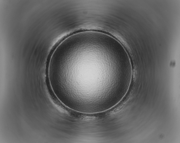 X0000091100438200708201524