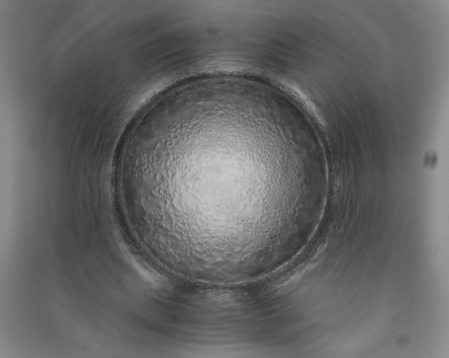 X0000091100439200708201524