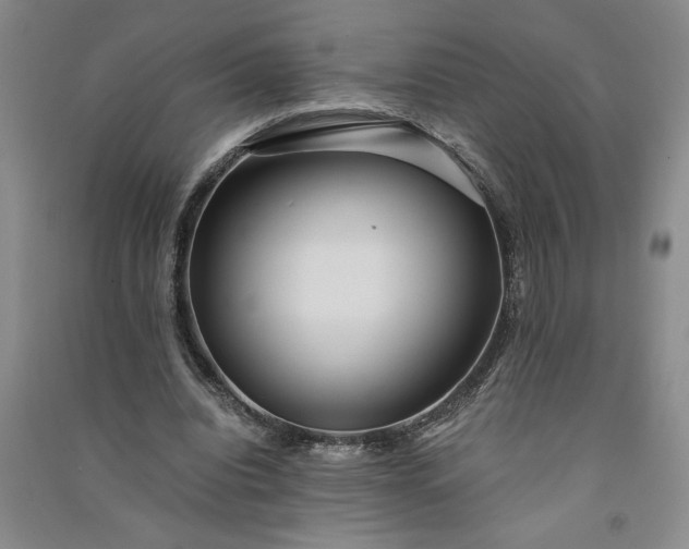 X0000091100440200708201524