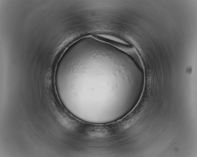 X0000091100443200708201524