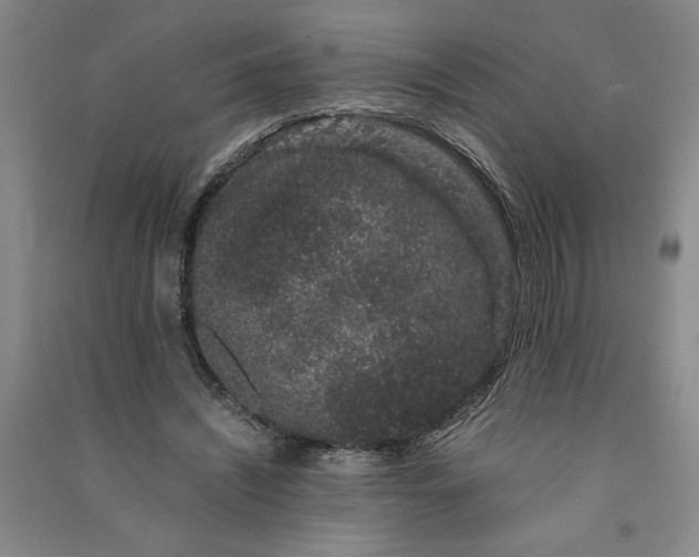 X0000091100444200708201524