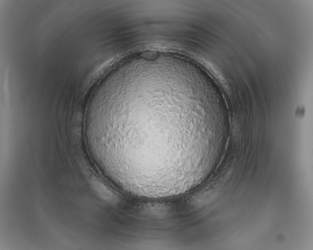 X0000091100445200708201524