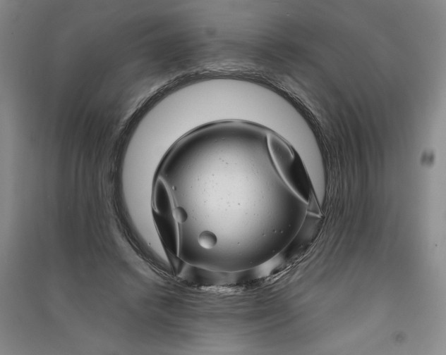 X0000091100448200708201524