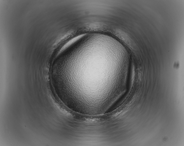 X0000091100450200708201525