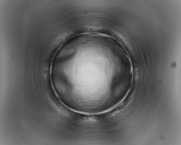 X0000091100451200708201525