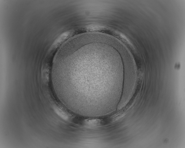 X0000091100452200708201525