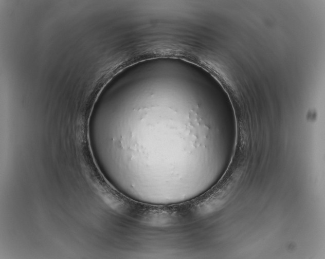 X0000091100453200708201525