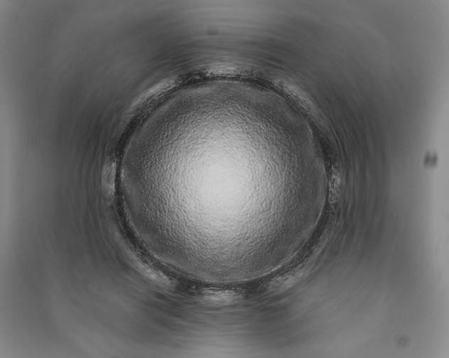 X0000091100454200708201525