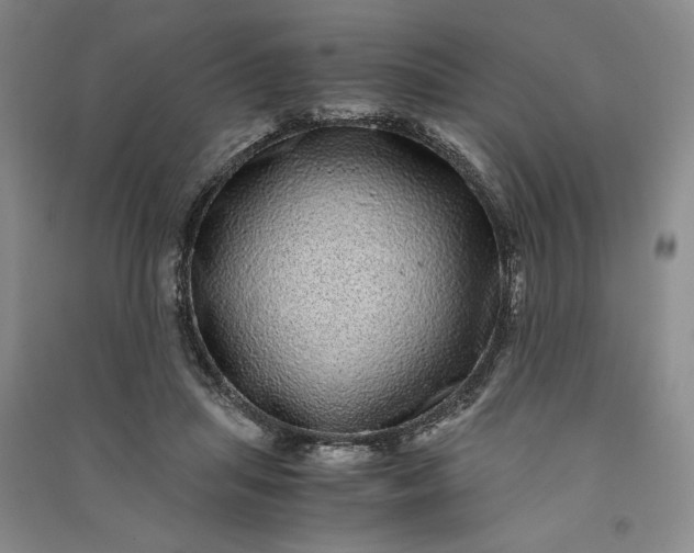 X0000091100455200708201525