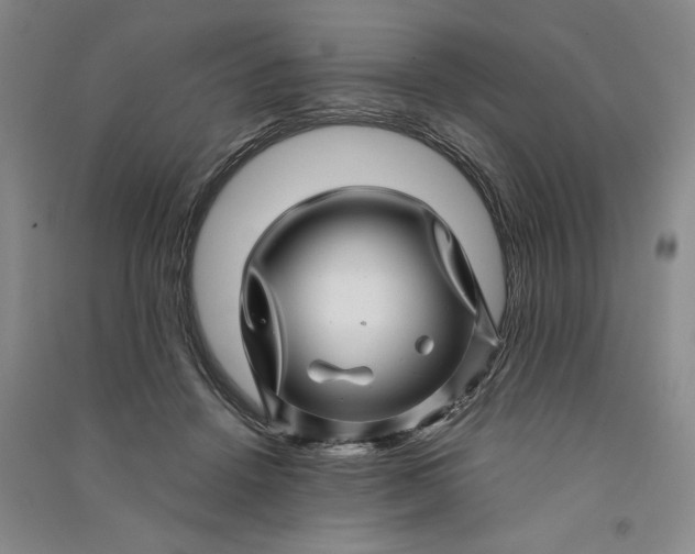 X0000091100456200708201525