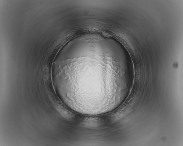 X0000091100457200708201525