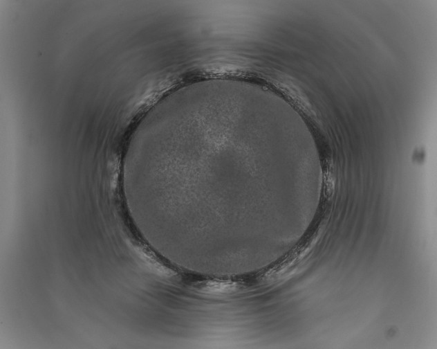 X0000091100458200708201525