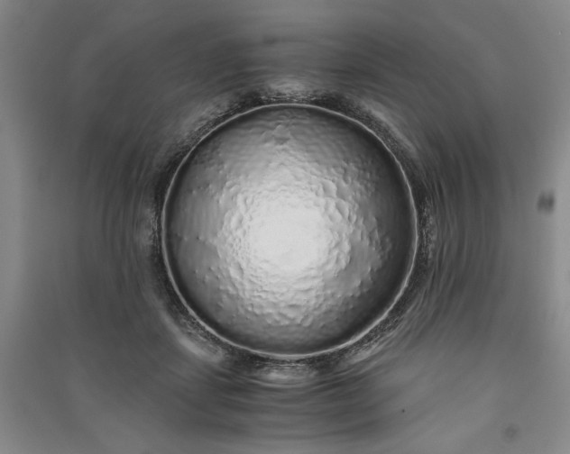 X0000091100459200708201525