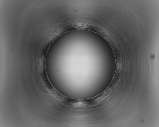 X0000091100460200708201525