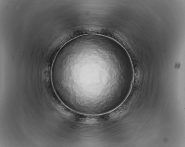 X0000091100462200708201525