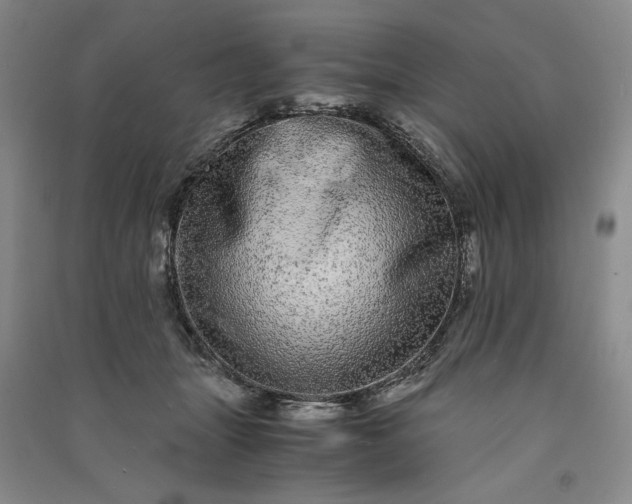 X0000091100463200708201525