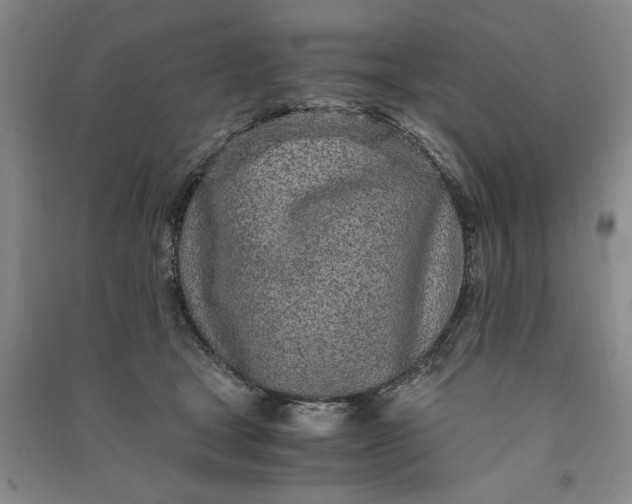 X0000091100465200708201525