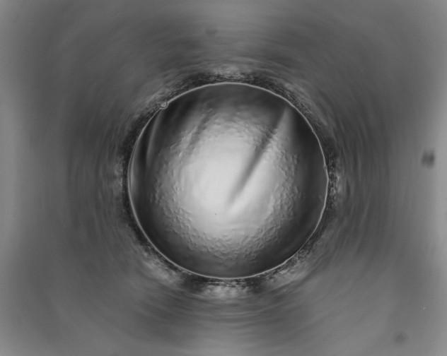 X0000091100466200708201525