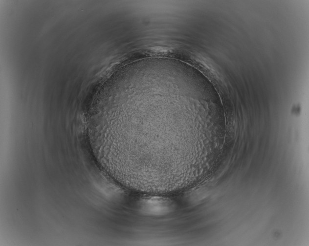 X0000091100467200708201525