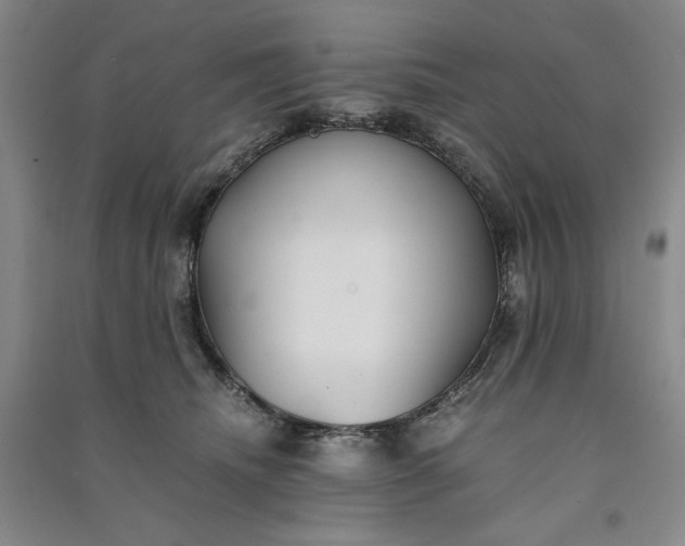 X0000091100468200708201525