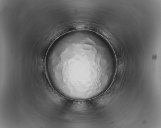 X0000091100469200708201525