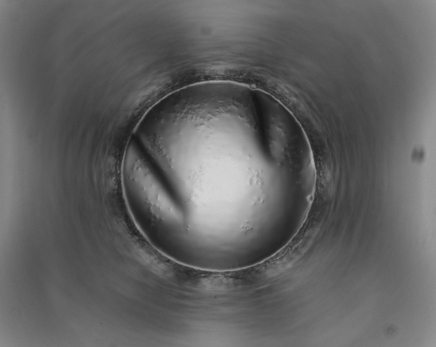 X0000091100470200708201525