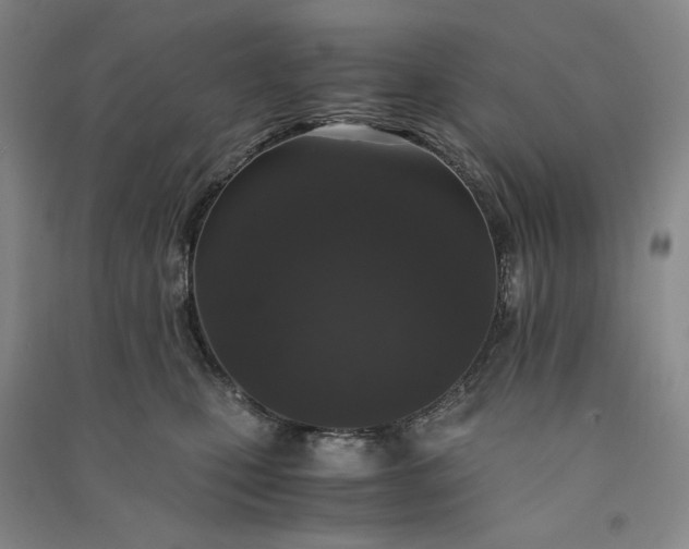 X0000091100471200708201525