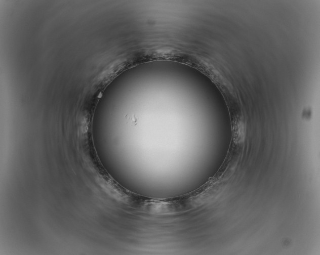 X0000091100472200708201525