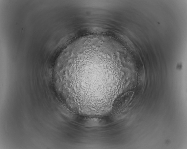 X0000091100473200708201525