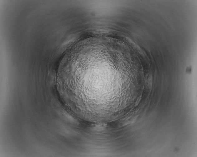 X0000091100474200708201525