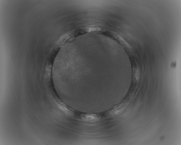 X0000091100475200708201525