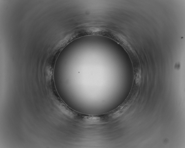 X0000091100476200708201525