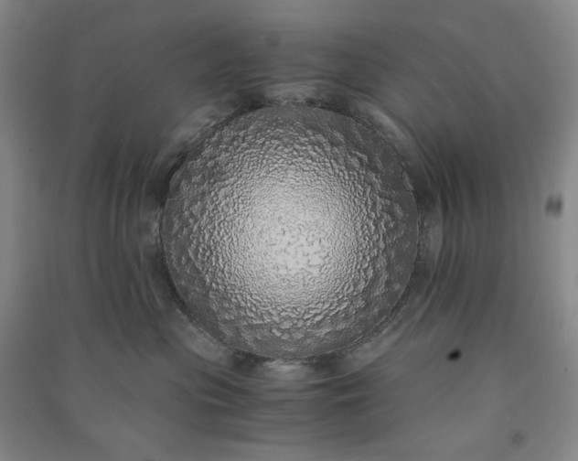 X0000091100477200708201525