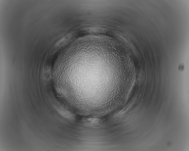 X0000091100478200708201525