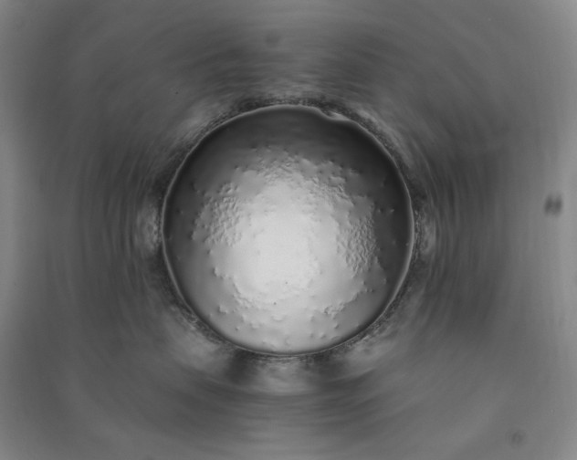 X0000091100479200708201525