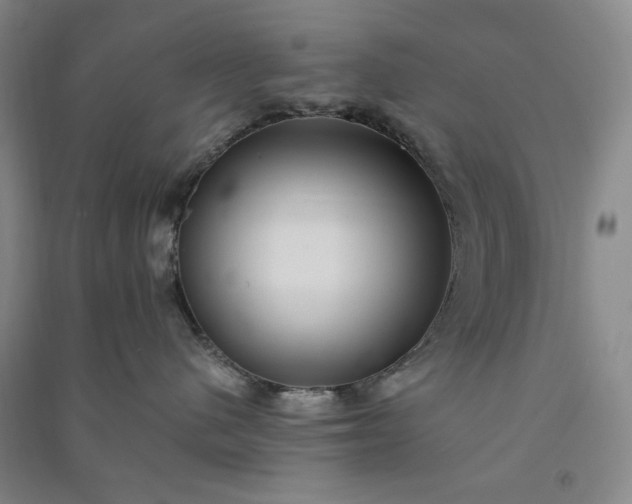 X0000091100480200708201525