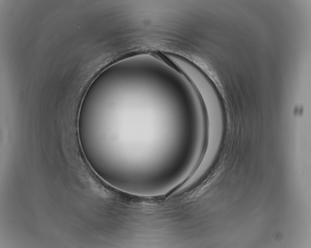 X0000091100481200708201524