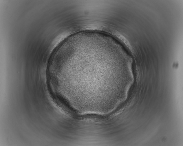 X0000091100482200708201524