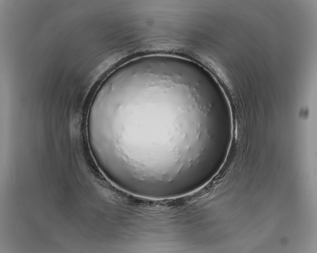 X0000091100483200708201524