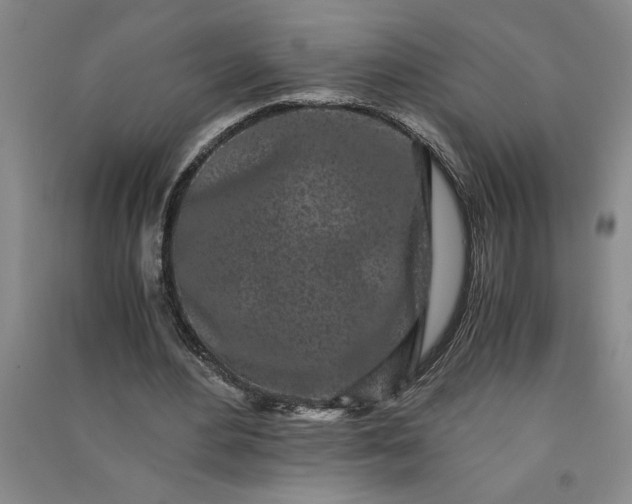 X0000091100484200708201524