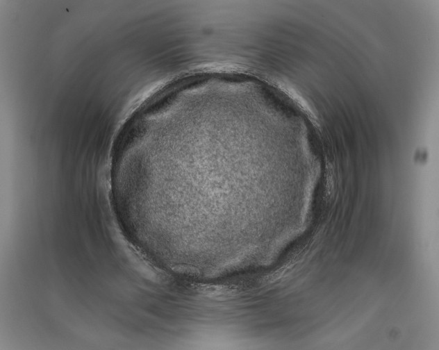 X0000091100486200708201524