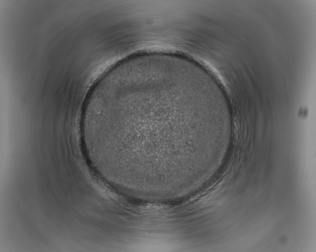 X0000091100487200708201524