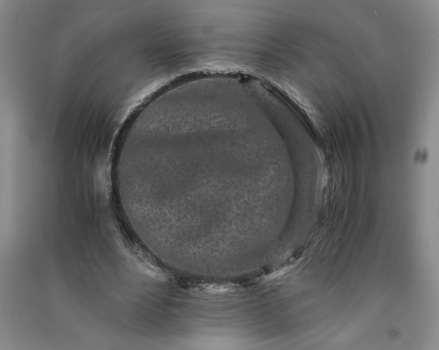 X0000091100488200708201524