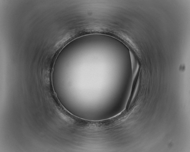 X0000091100489200708201524